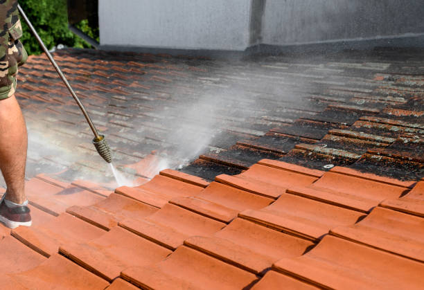 Best Pressure Washing Services for Businesses  in Iraan, TX